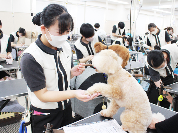 ２年生のトリミング実習♪